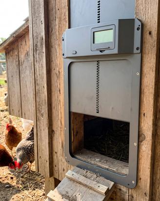 Porta Automatica per Pollaio