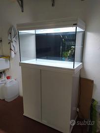Acquario con mobile