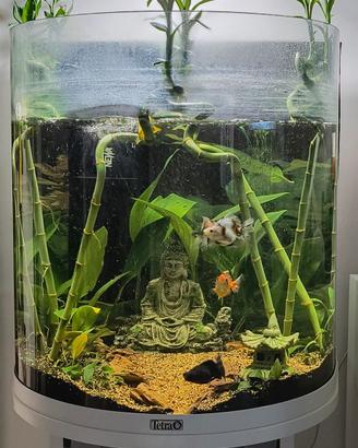 Acquario Tetra AquaArt 60 litri completo