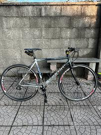 Bici da corsa dazzan