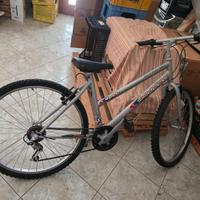 Bici 26 pollici