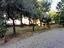 Immagine 25