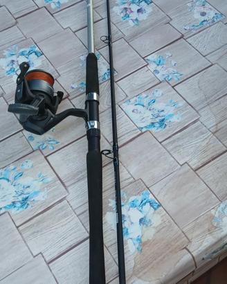 canna caperlan 1.50m