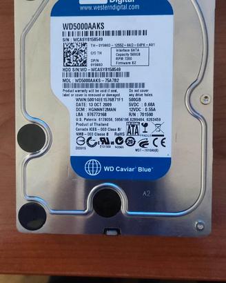 Disco Western Digital Caviar Blue 500 GB 3.5"