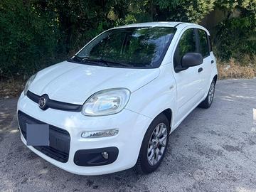 Panda 2021 ibrida 1.0