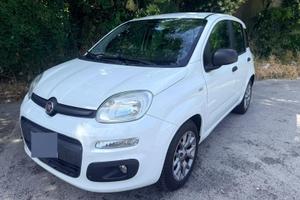 Panda 2021 ibrida 1.0