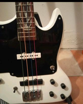 Chitarra basso doppio manico