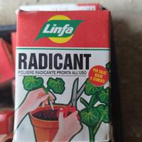 radicante