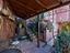 Immagine 17