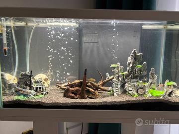 Acquario 60 litri