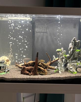 Acquario 60 litri