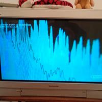 televisore tubo catodico Panasonic 32 pollici 100h