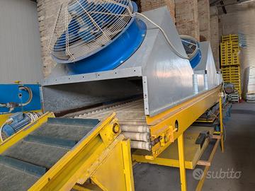 Macchine lavorazione meloni con asciugatura