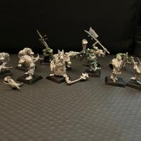 Confrontation lotto orchi