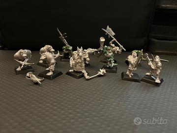 Confrontation lotto orchi