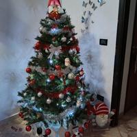 albero di 1.80