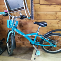 Bicicletta bambina 20"