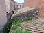Immagine 7