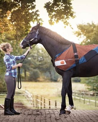 Bemer Horse set nuovo 