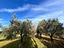 Immagine 18