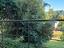 Immagine 14