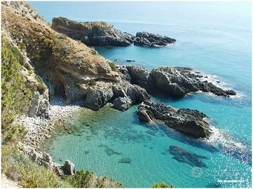 Vacanze relax Ascea Marina casa immersa nel verde