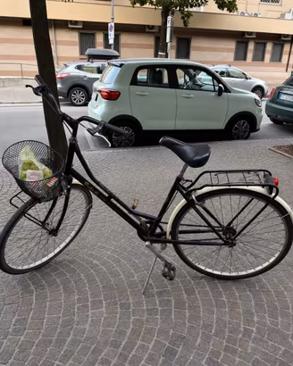 Bici Da Passeggio Olandesina Donna E Uomo