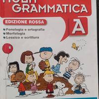 multi grammatica edizione rossa