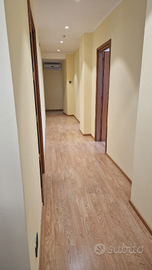 Grande ufficio ristrutturato con 6 stanze