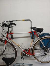 Bicicletta da Uomo 