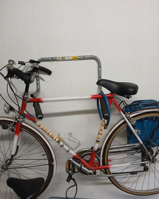 Bicicletta da Uomo 