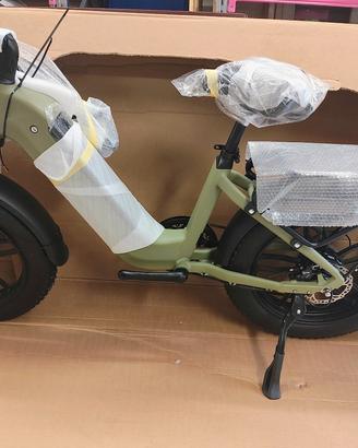 bici elettrica -fat bike