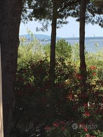 Vicinissimo al mare