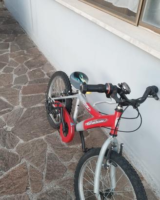 bicicletta 20" bambino 