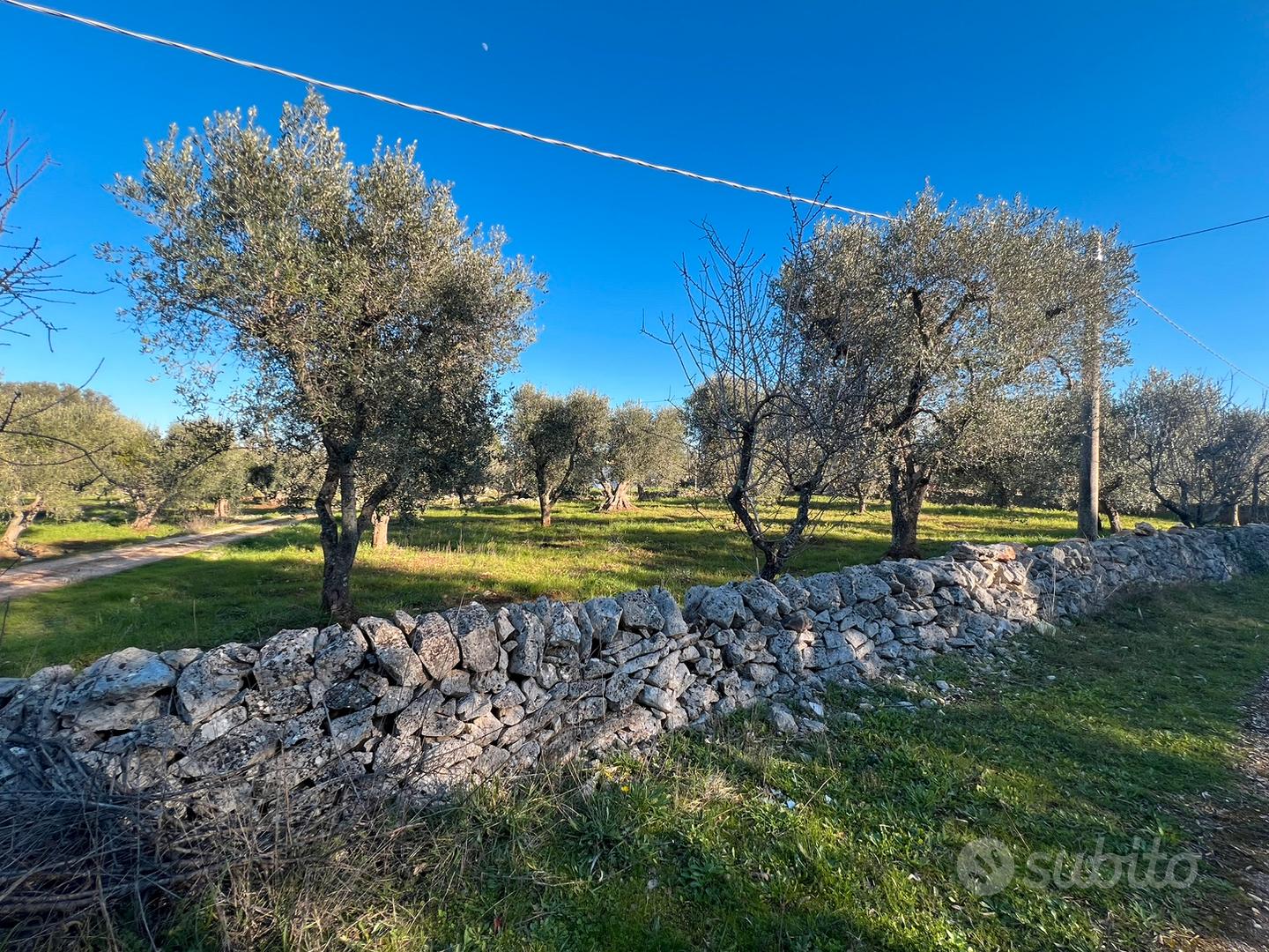 Terreno agricolo - Vista 4