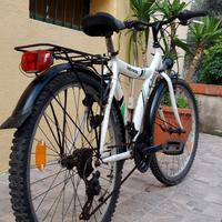 Bicicletta Mtb 26" Cup's cambio Shimano