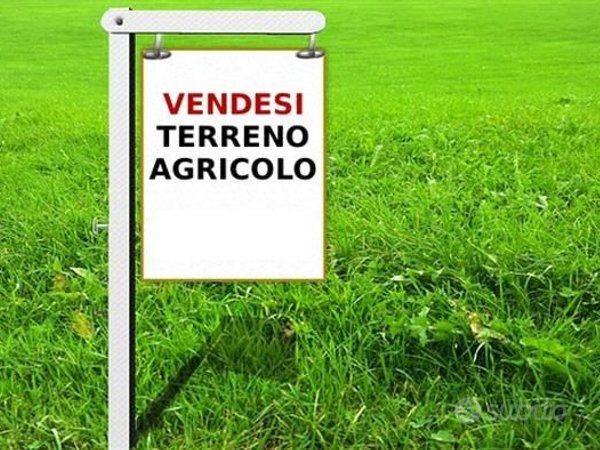 Rif.ar terreno agricolo