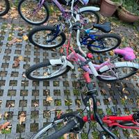 Biciclette mountainbike da bimbo