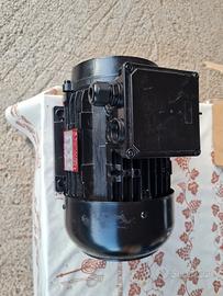 motorino elettrico  trifase  3hp