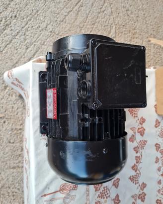 motore elettrico  trifase  3hp