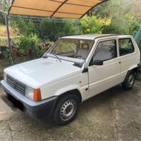 Panda 1 serie 1100 young multipoint