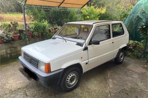 Panda 1 serie 1100 young multipoint