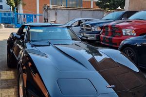 CHEVROLET Corvette Stingray - 1982