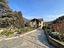 Immagine 29
