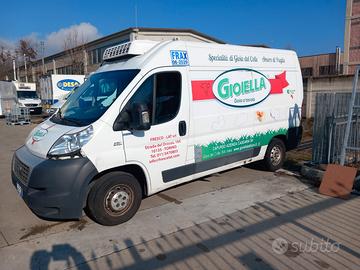 Fiat ducato coibentato frigo atp