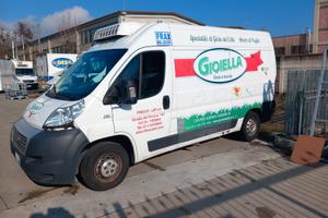 Fiat ducato coibentato frigo atp