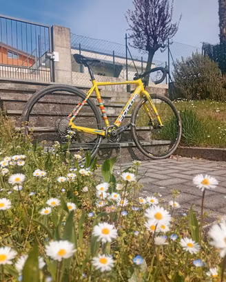 bici da ciclocross 