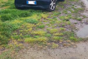 smart 450 CDI diesel