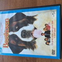 Film per ragazzi e bambini(shrek,garfield)