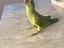 Immagine 3